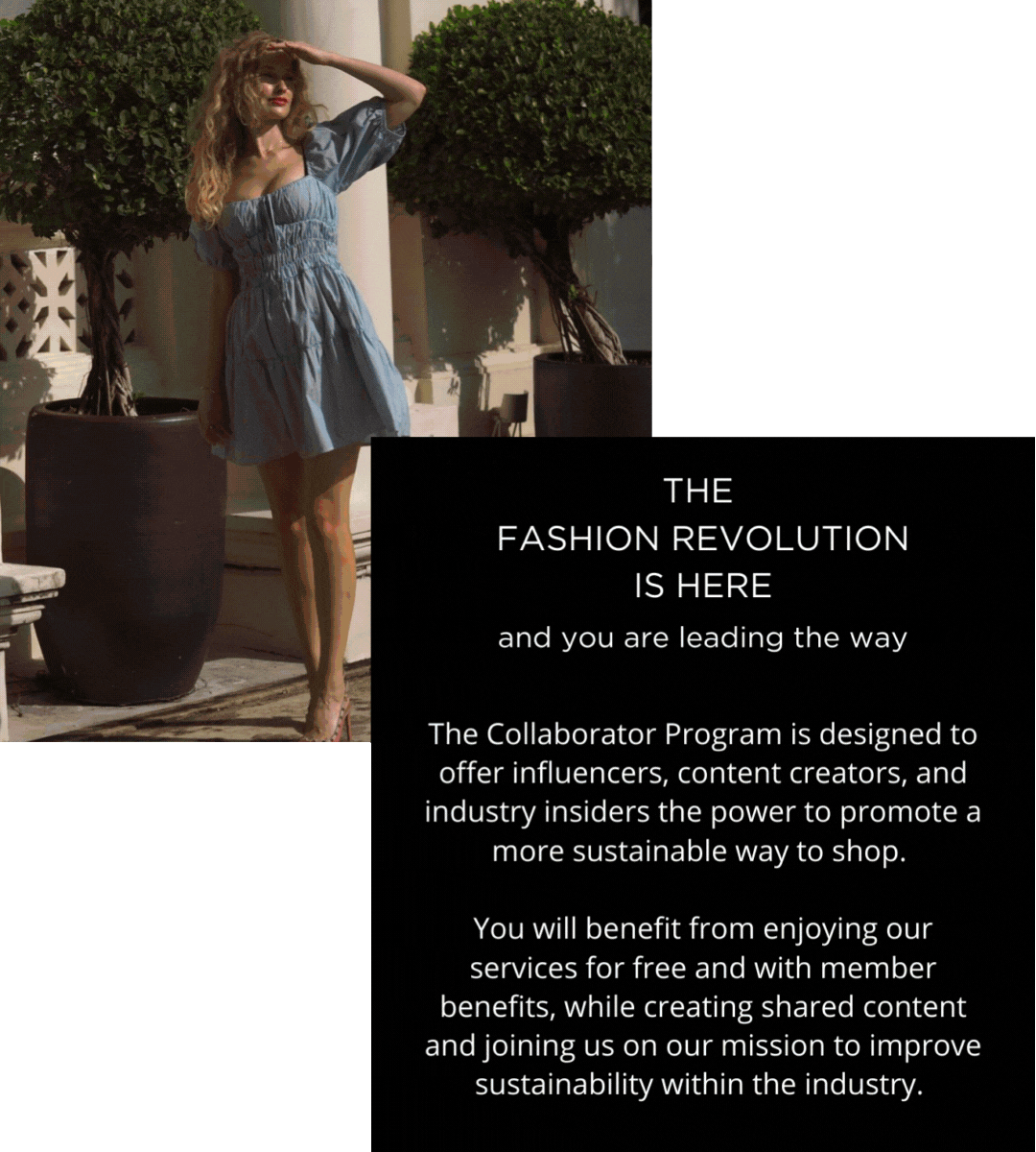 Style Carousel Sustainable Fashion Champion